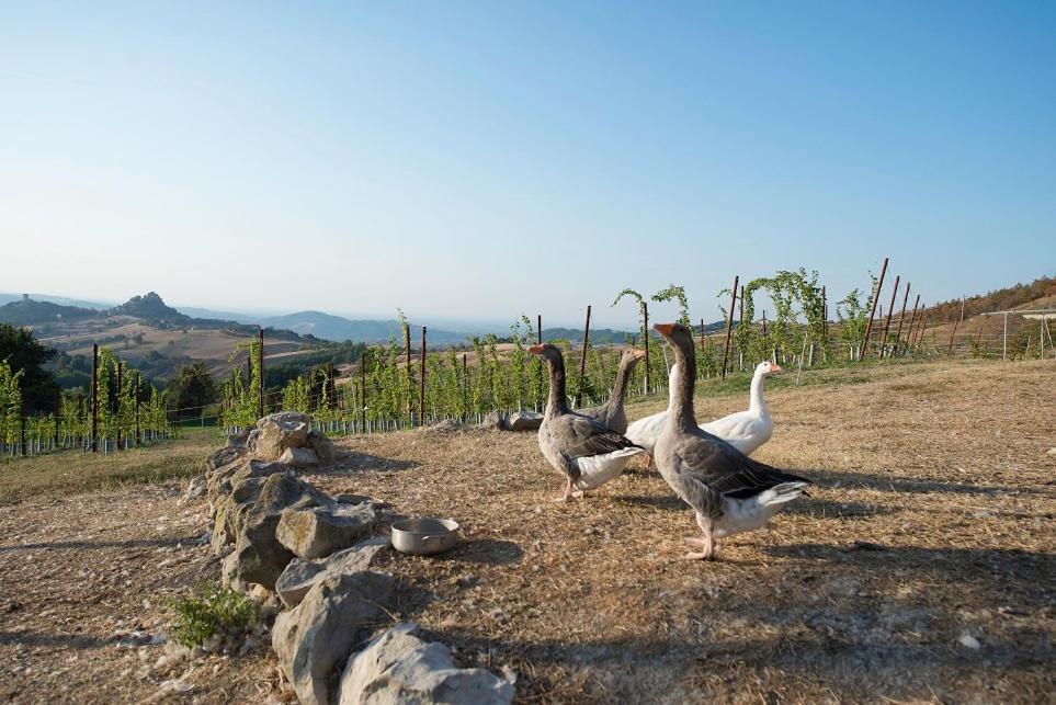 Bed and Breakfast Fattoria Branciana Rossena Exterior foto