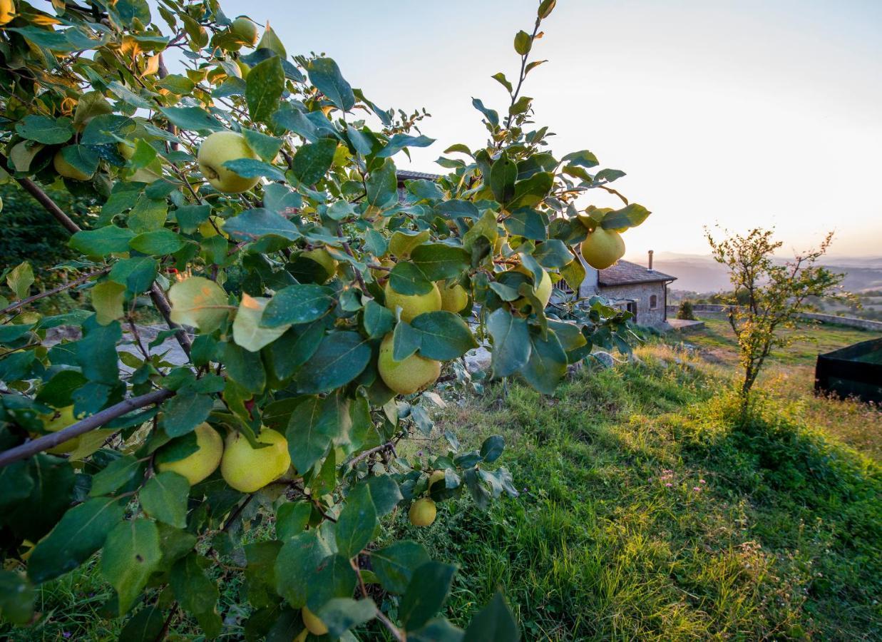 Bed and Breakfast Fattoria Branciana Rossena Exterior foto